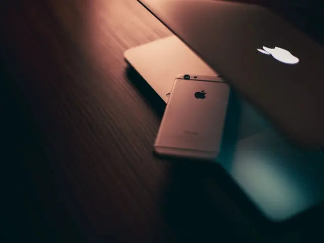 Digitalrgs everything apple